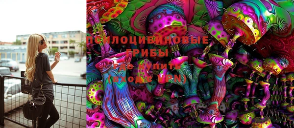 дмт Медвежьегорск