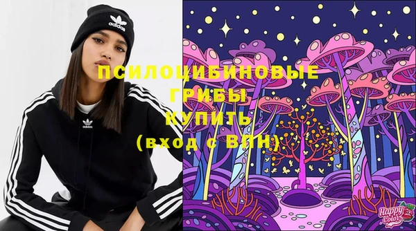 ГАЛЛЮЦИНОГЕННЫЕ ГРИБЫ Медногорск
