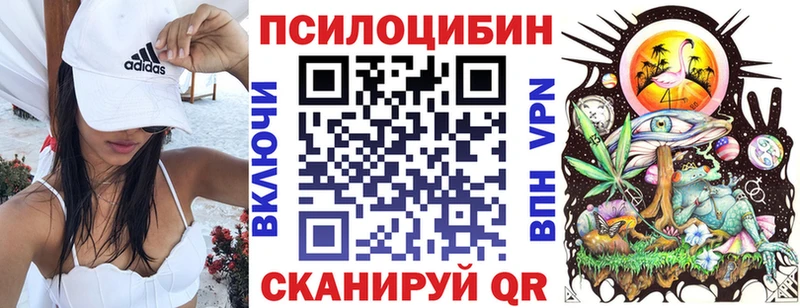 где найти наркотики  Торопец  Псилоцибиновые грибы мицелий 